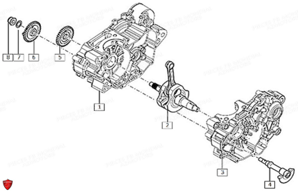 CARTERS MOTEUR VILEBREQUIN FB MONDIAL HPS 125 LIMITED EDITION