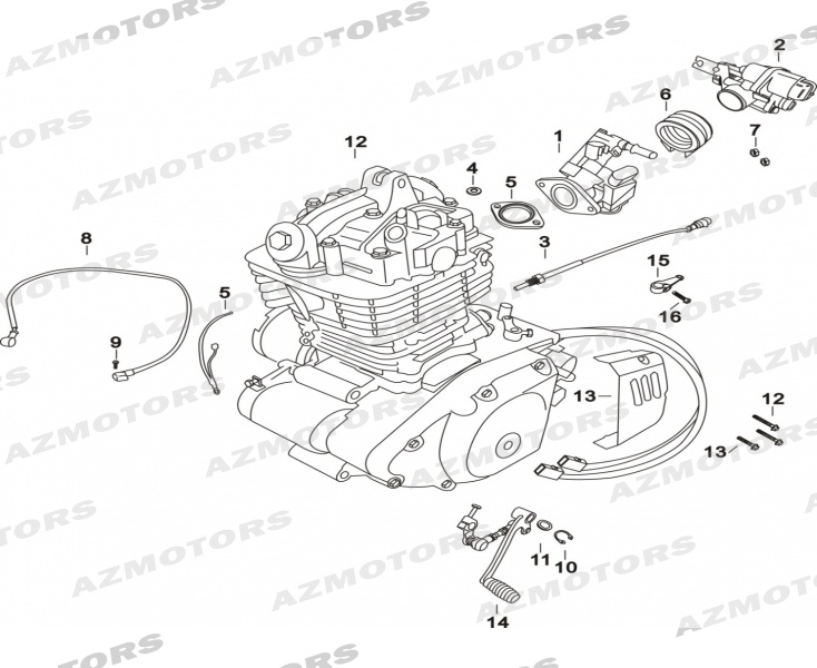 Composants Moteur MASH Pieces MASH DIRT TRACK 125 (2018)