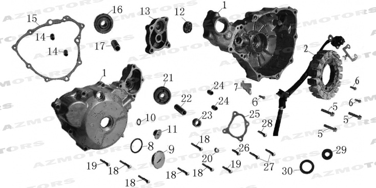 Carter Allumage Stator MASH 