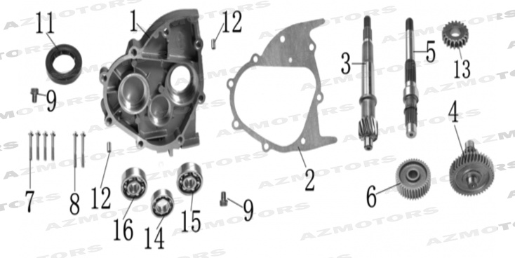 Arbres Storia 125 MASH 