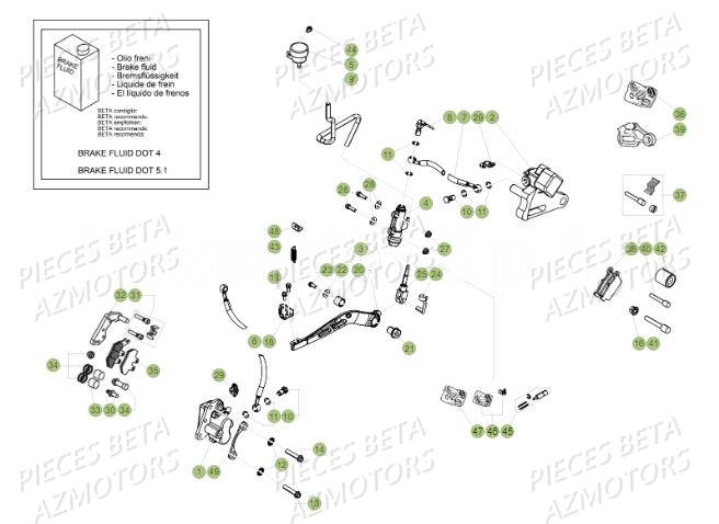 FREINS pour MOTARD-50-TRACK-MY19