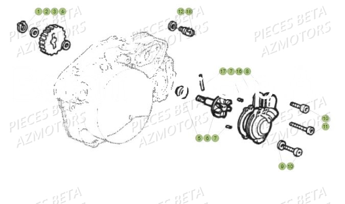 Pompe A Eau BETA Pièces Beta 50 RR Motard TRACK - 2019
