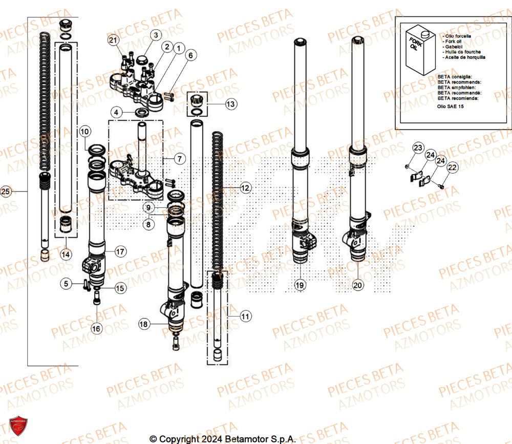 Fourche BETA BETA Motard SPORT 2T 50 LS 2025