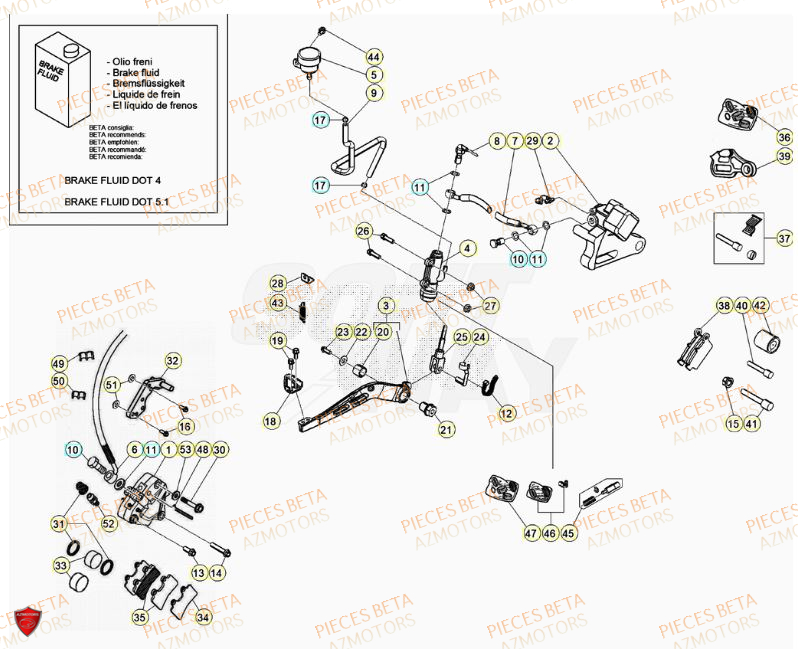 FREINS pour MOTARD RR 50 2T 23