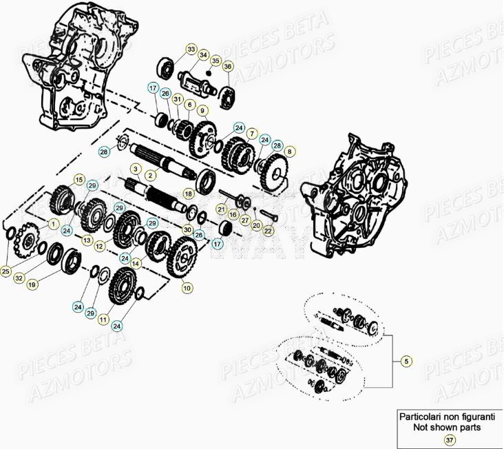 Boite A Vitesses BETA BETA Motard SPORT 2T 50 (2020)