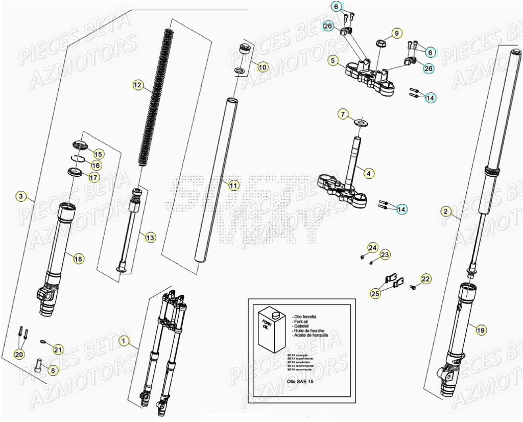 Fourche BETA BETA Motard SPORT 2T 50 (2020)