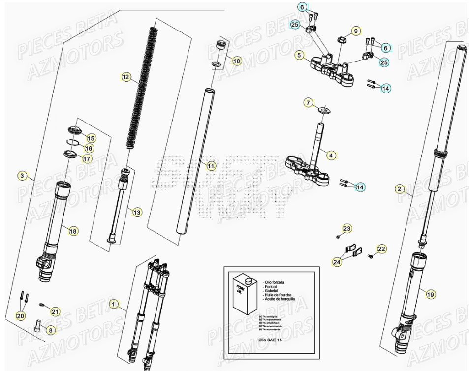 Fourche BETA BETA Motard SPORT 2T 50 2021-2022