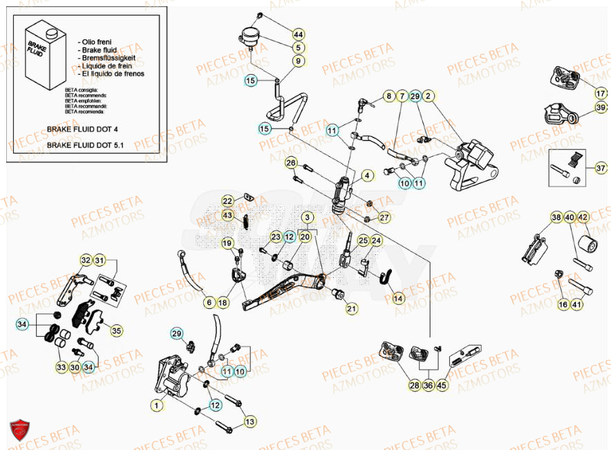 Freins BETA BETA Motard SPORT 2T 50 2023