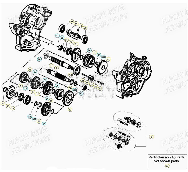 Boite A Vitesses BETA BETA Motard TRACK R 2T 50 (2020)