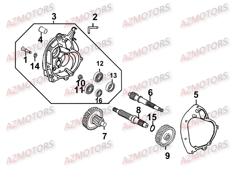 Transmission KYMCO Pièces Scooter Kymco MOVIE XL 125 4T EURO III