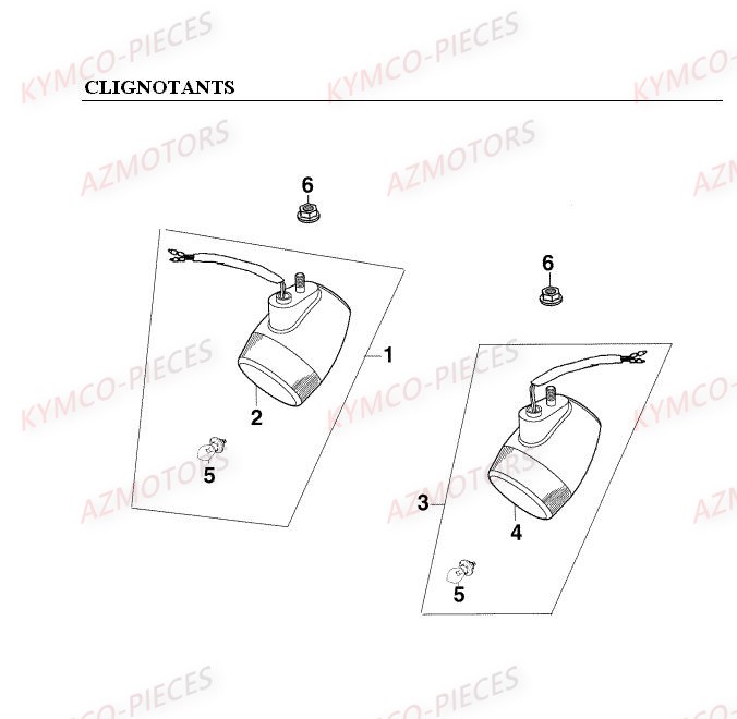 AMPOULE BA15 12V 10W pour CLIGNOTANTS de MXER 150