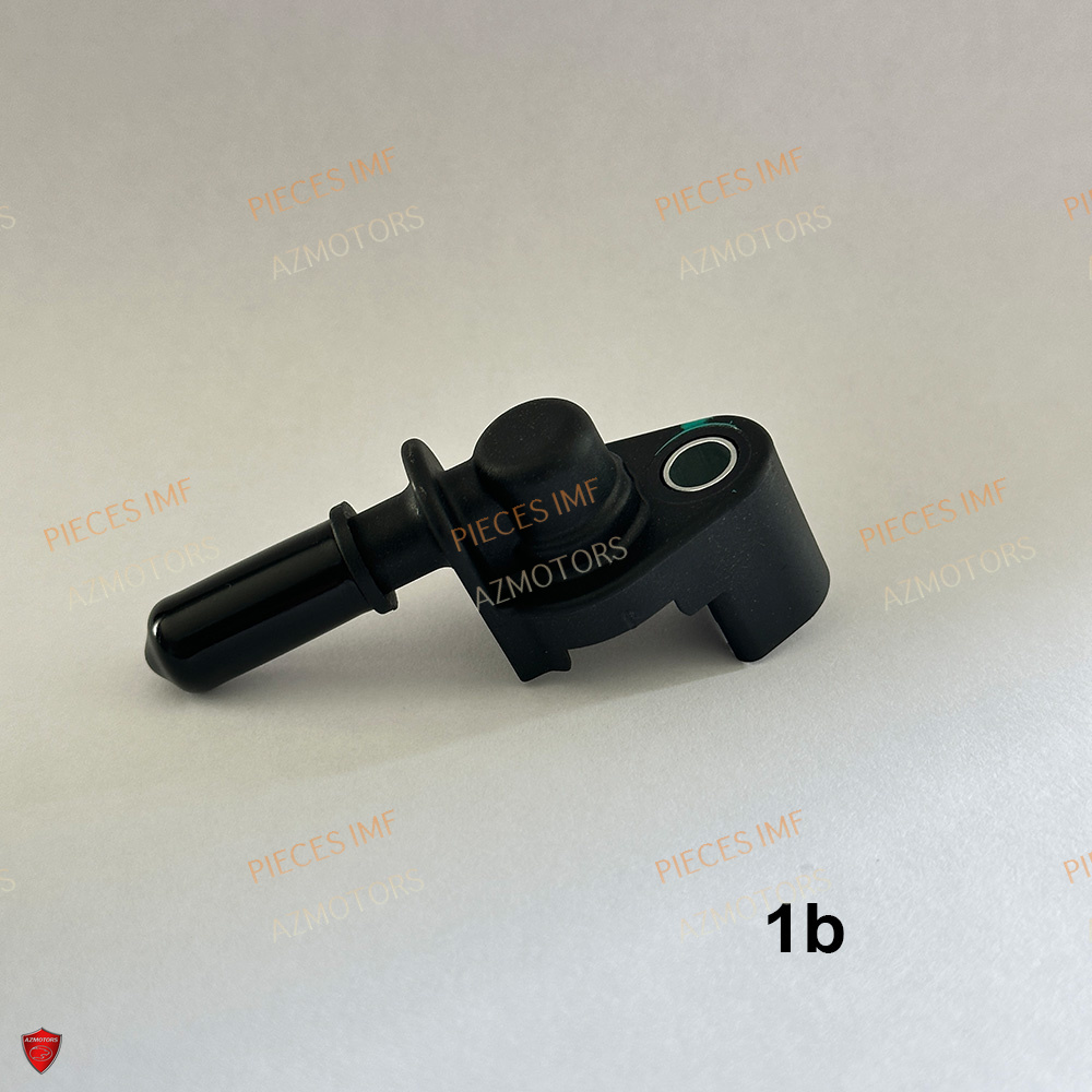 Boite A Air 2 AZMOTORS PIECES NAXOS EURO 5