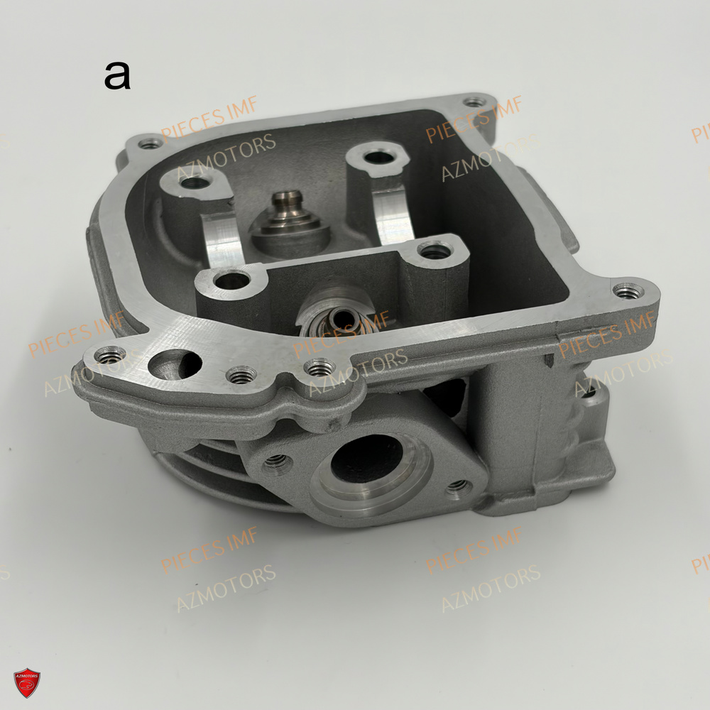 Culasse 2 AZMOTORS PIECES NEWPACH 4T 12P EURO 5