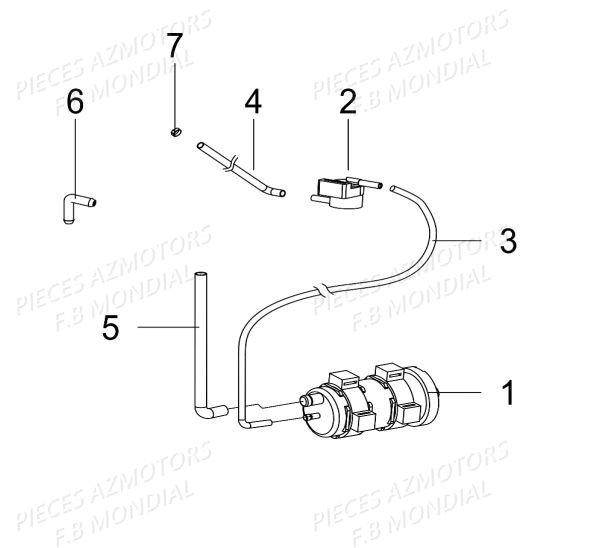 Canister FB MONDIAL Pieces PAGANI 125 ABS EURO4 FB Mondial Origine