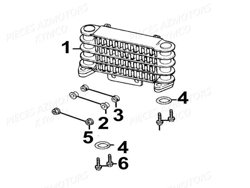 Radiateur D Huile KYMCO Pièces Moto Kymco QUANNON 125 4T EURO III (RL25BA)