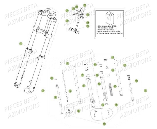 Fourche BETA Pièces BETA REV 80 - (2018)