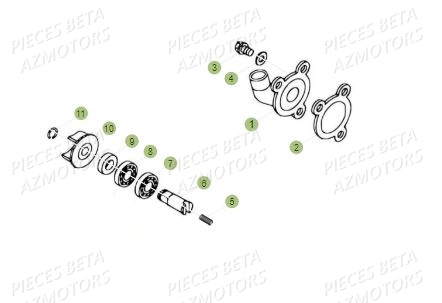 Pompe A Eau BETA Pièces BETA REV 80 - (2018)