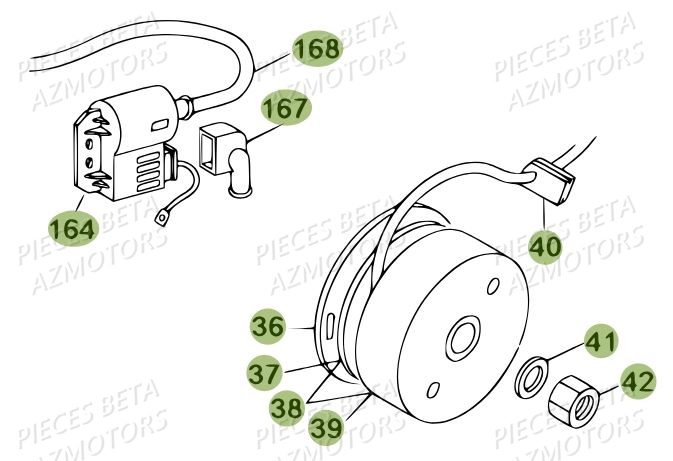 Allumage AZMOTORS Pièces BETA REV 80 JUNIOR - (2010-2011)