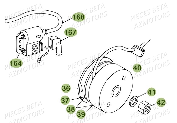 Allumage BETA Pièces BETA REV 80 JUNIOR - (2014)
