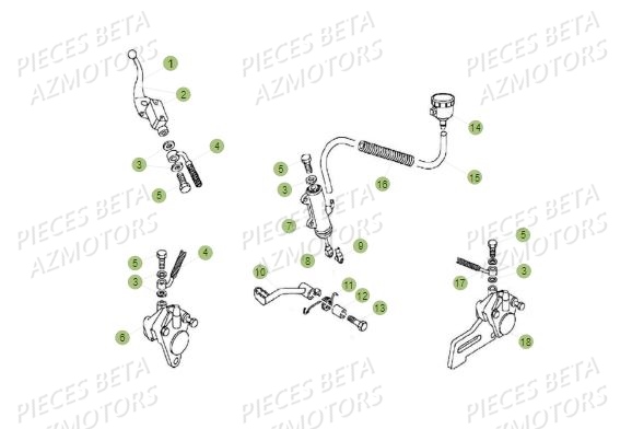 Freins BETA Pièces BETA REV 80 JUNIOR - (2015)