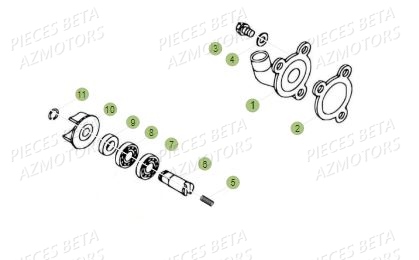 Pompe A Eau BETA Pièces BETA REV 80 JUNIOR - (2016)