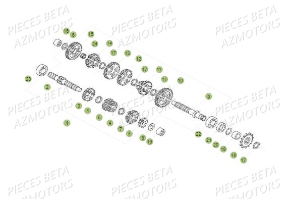 Boite A Vitesses BETA Pièces BETA REV 80 JUNIOR - (2019)