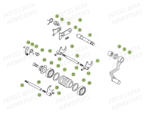 Selecteur BETA Pièces BETA REV 80 JUNIOR - (2019)
