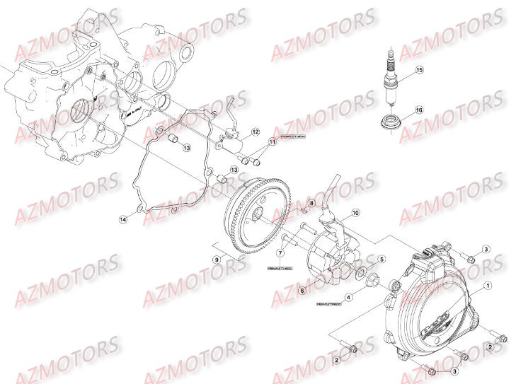 Allumage BETA Pieces BETA RR 2T 250 - (2016)
