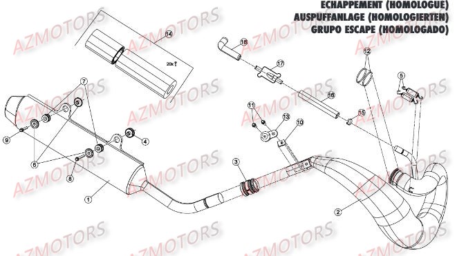 Echappement Homologue Route BETA Pieces BETA RR 2T 250 - (2016)