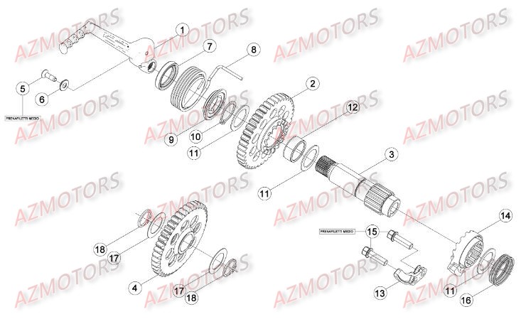 Kick Starter BETA Pieces BETA RR 2T 250 - (2016)