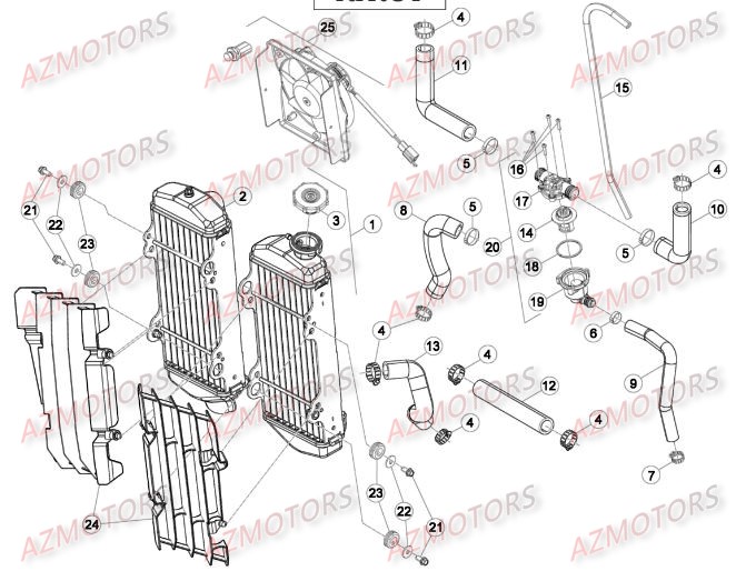 Radiateur BETA Pieces BETA RR 2T 250 - (2016)