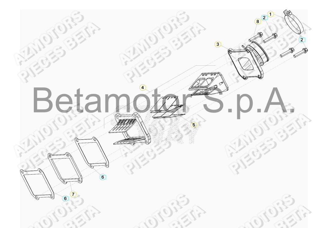 Admission BETA Pieces BETA RR 2T 250 RACING - (2017)