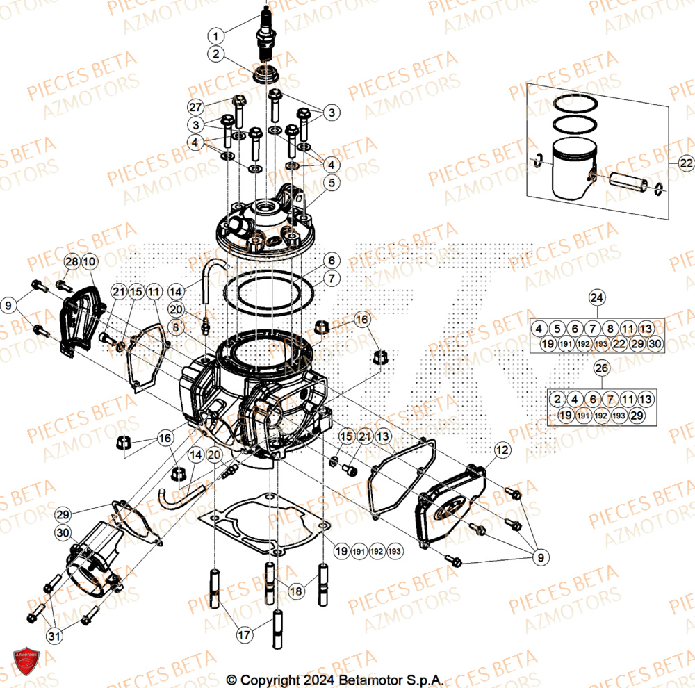 Cylindre BETA Pieces BETA RR 2T 250 X-PRO - (2026)