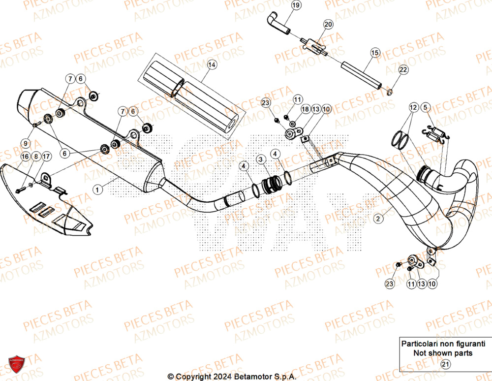 Echappement BETA Pieces BETA RR 2T 250 X-PRO - (2026)