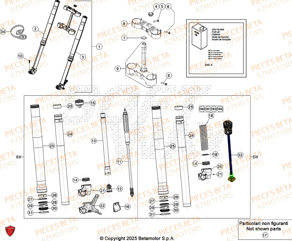 Fourche BETA Pieces BETA RR 2T 250 X-PRO - (2026)