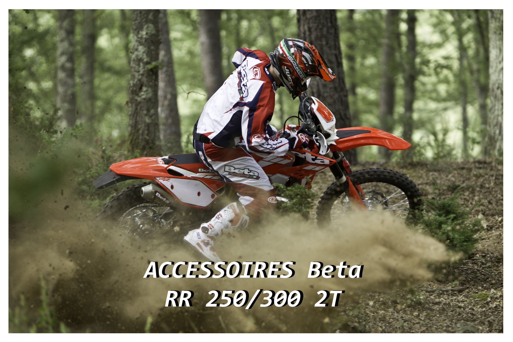 Accessoires BETA Pièces BETA RR 2T 250 - (2014)