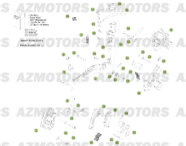 Freins BETA Pièces BETA RR 2T 250 - (2014)