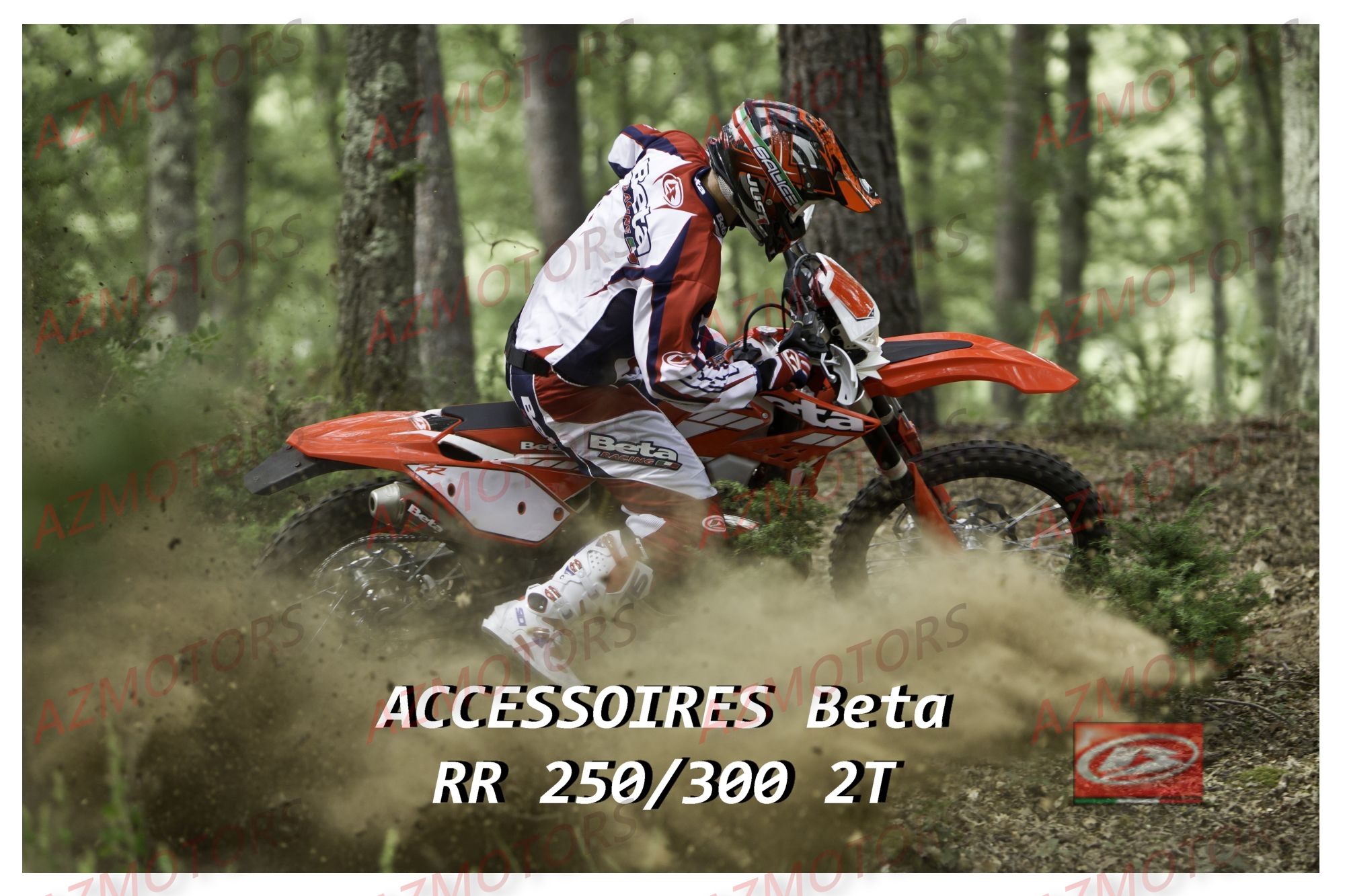 Accessoires BETA Pieces BETA RR 2T 250 - (2015)