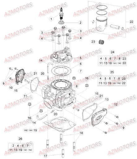 Culasse BETA Pieces BETA RR 2T 300 - (2015)