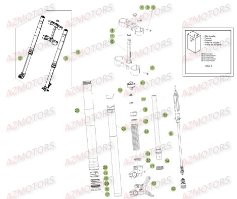 Fourche BETA Pieces BETA RR 2T 300 - (2017)