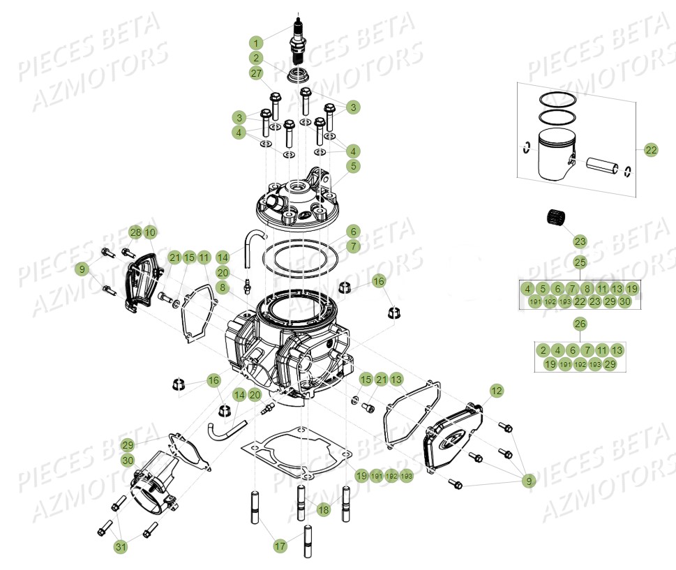 Cylindre BETA Pieces BETA RR 2T 300 - (2018)