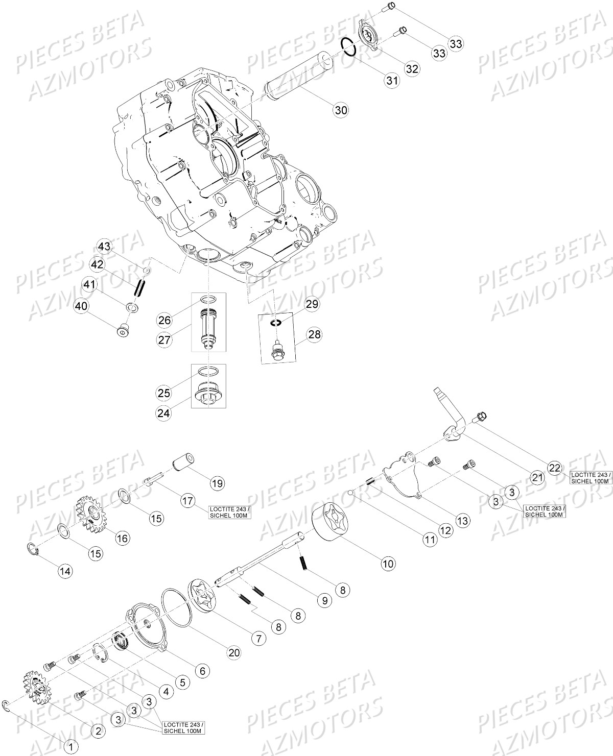 Circuit De Lubrification BETA Pièces Beta RR 4T 390 Enduro - 2016
