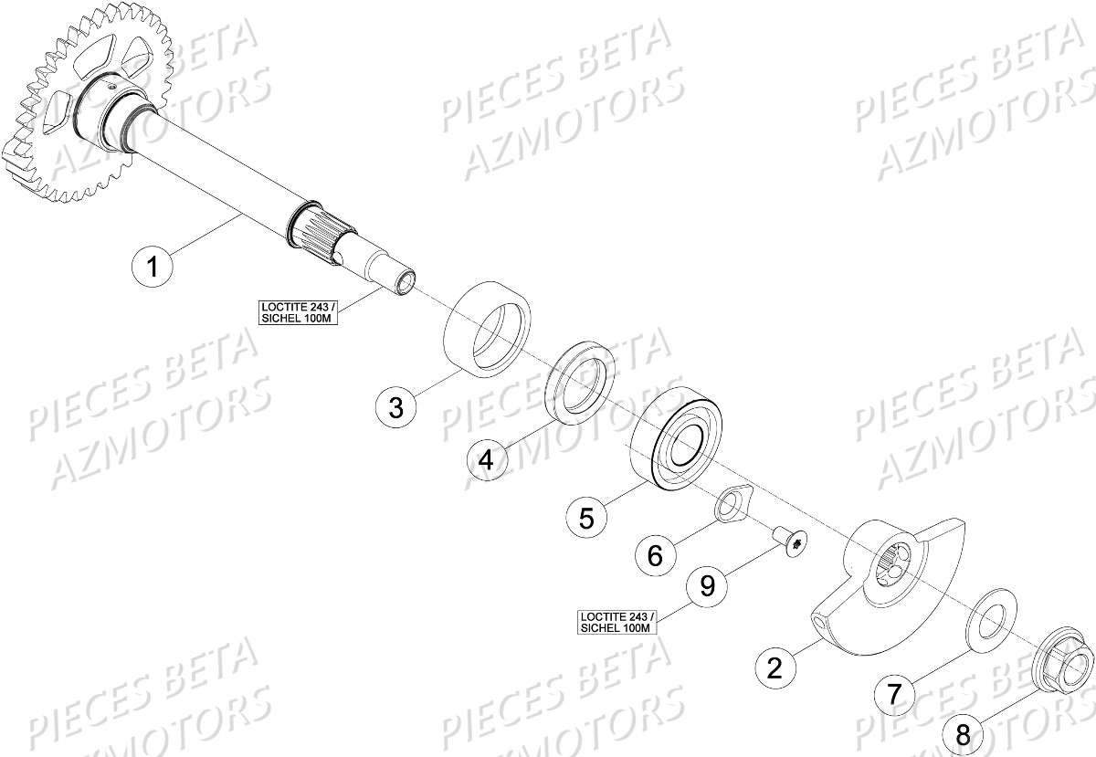 VILEBREQUIN PISTON CONTRE ARBRE1 BETA RR 390 4T 16