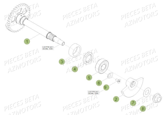 Arbre Equilibrage BETA Pièces Beta RR 4T 390 Enduro - 2017