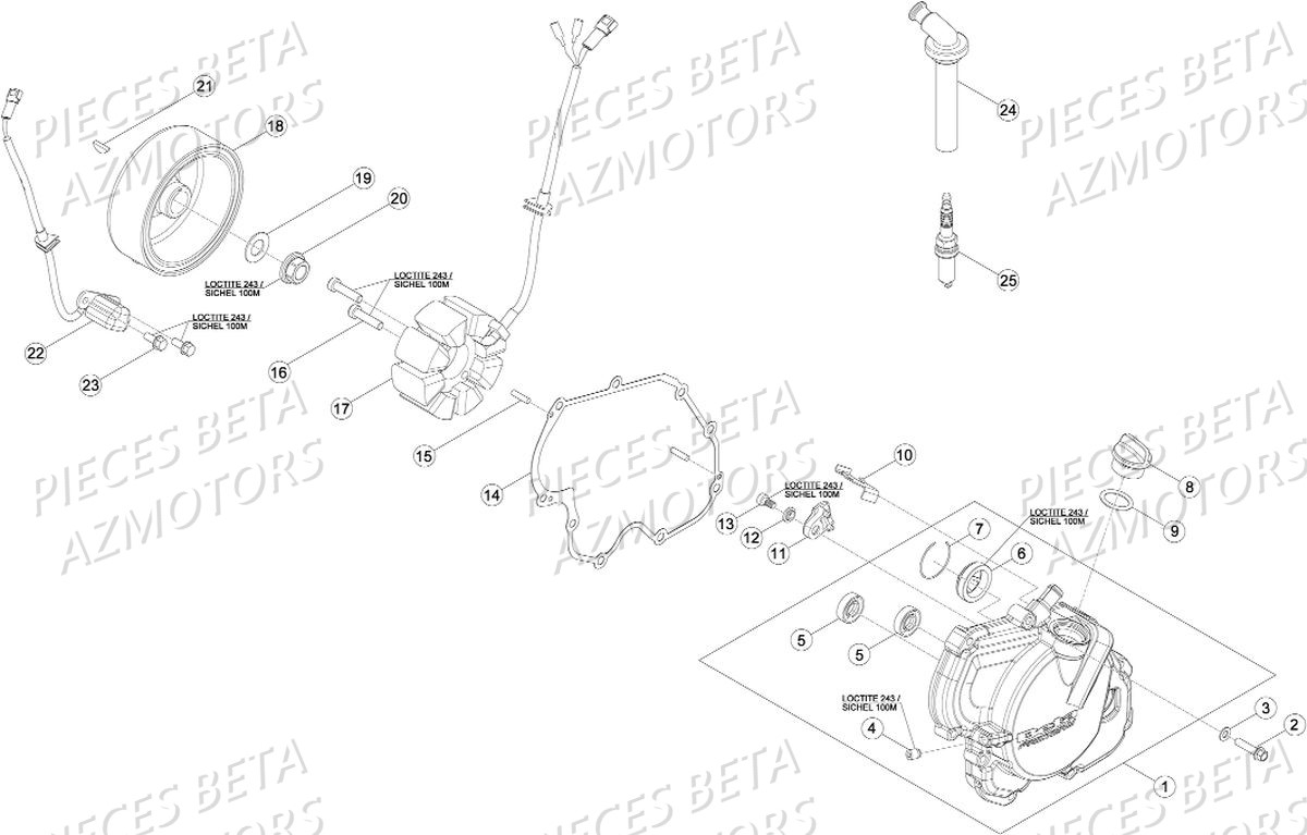 Groupe Allumage Electronique BETA Pièces Beta RR 4T 480 Enduro - 2017