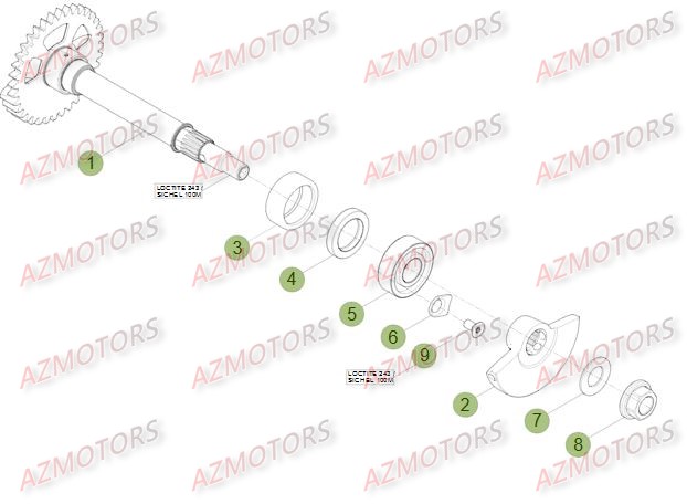 VILEBREQUIN   PISTON   CONTRE ARBRE BETA RR 4T 350 14