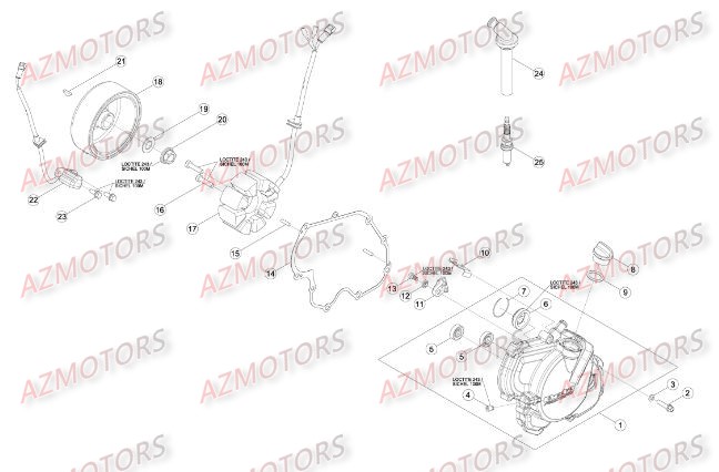 Allumage BETA Pièces Beta RR 4T 400 Enduro - 2014