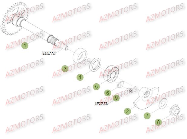 VILEBREQUIN   PISTON   CONTRE ARBRE BETA RR 4T 400 14