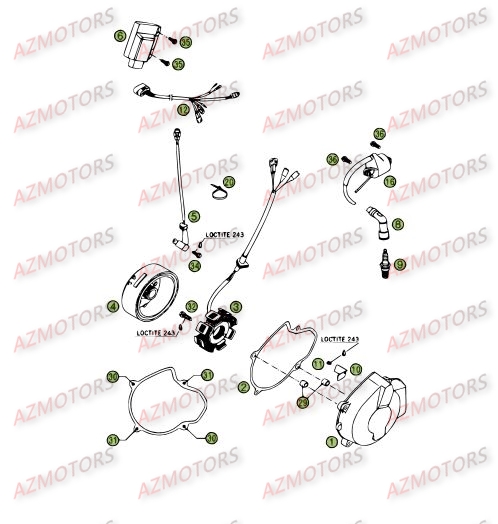 Allumage BETA Pièces BETA RR 4T 450 - [2006-2005]