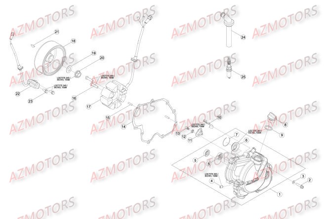 Allumage BETA Pièces Beta RR 4T 450 Enduro - 2014